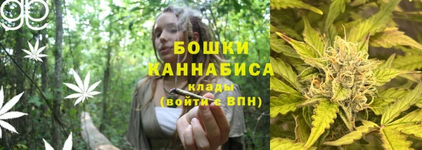 гашик Михайловск