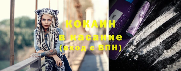 гашик Михайловск