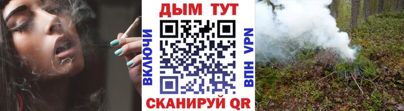 как найти закладки  omg зеркало  Конопля OG Kush  Терек 